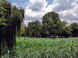 Kunming - Parc Cuihu - 48